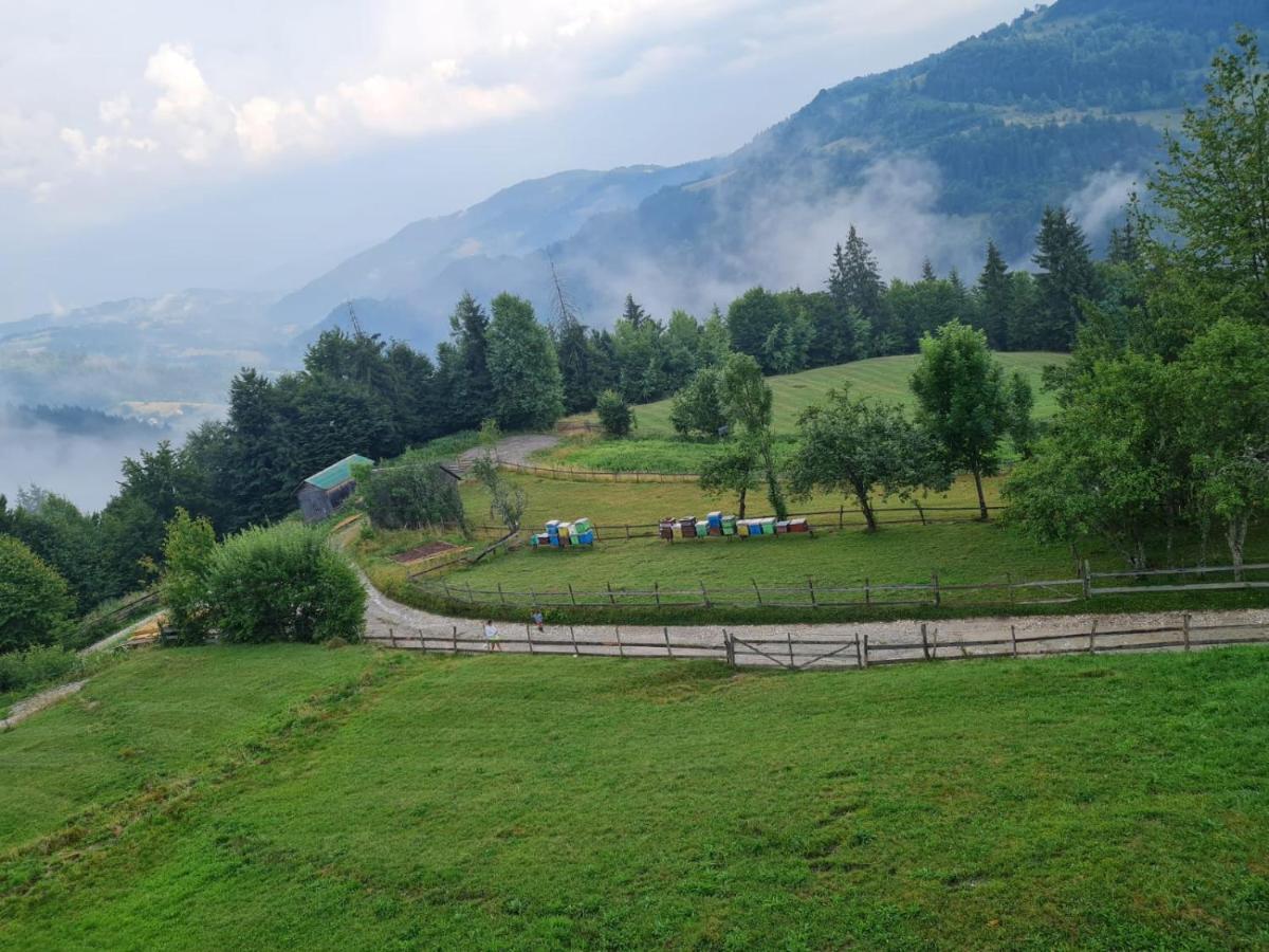 Pensiunea Agroturistica Acvila Apusenilor Vadu Motilor Exterior foto