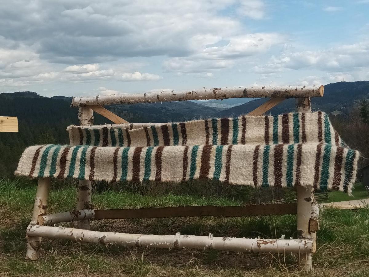 Pensiunea Agroturistica Acvila Apusenilor Vadu Motilor Exterior foto