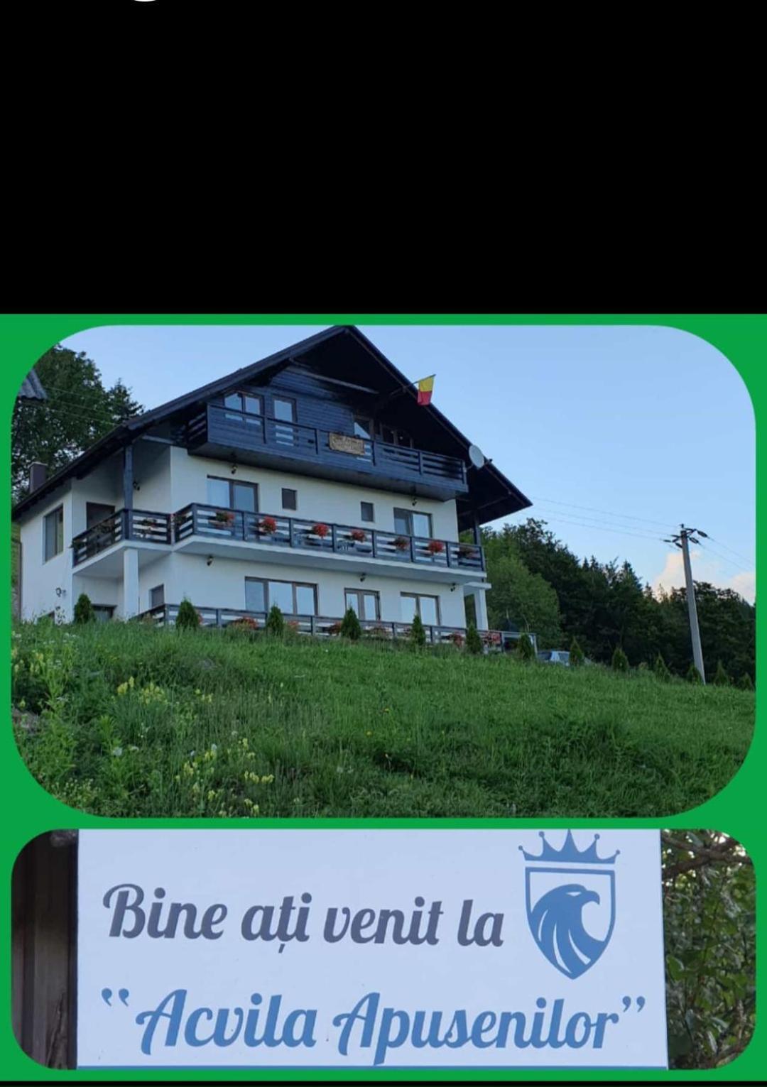 Pensiunea Agroturistica Acvila Apusenilor Vadu Motilor Exterior foto